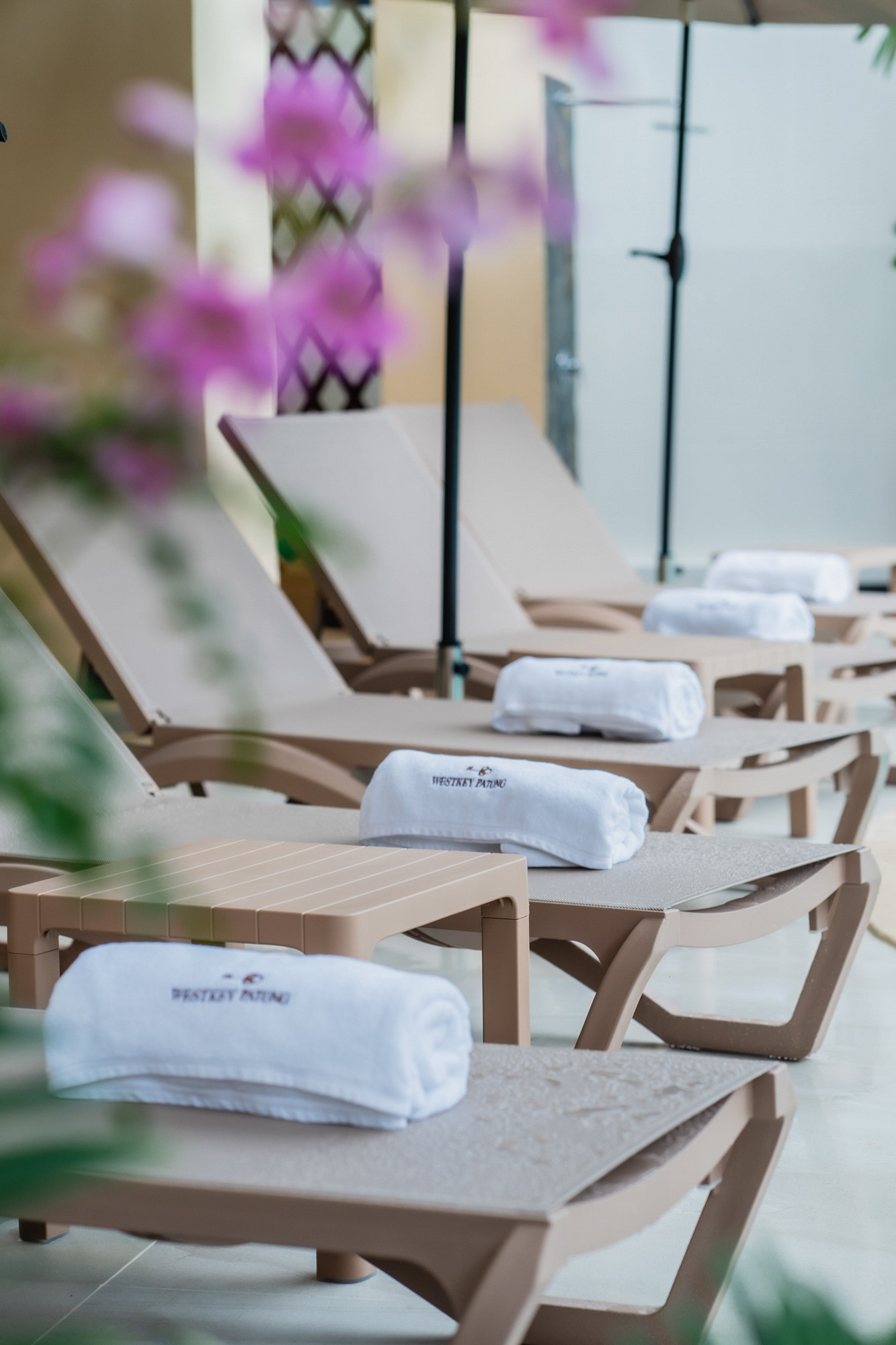 Facilities & Services